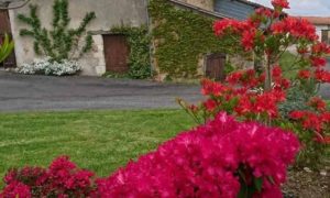 Cinquième concours des maisons fleuries !